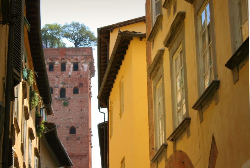 Der Torre Guinigi mit den darauf gepflanzten Steineichen.